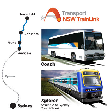 nsw travel link